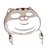 Gatitos divertidos😂 10