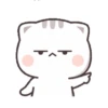 KUCING GILA 5