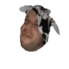 VACA Shitpost  15
