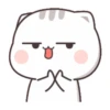 KUCING GILA 10