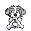 Perro chistoso random 9