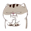Gatitos divertidos😂 6
