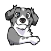 Perro chistoso random 15