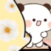 Bubu & Dudu  13