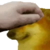Sukritisdoggo 7