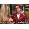 Big Bang Theory 13