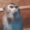 MEMES E DEBOCHE KKK 6
