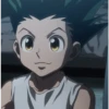 Gon 15