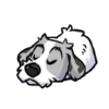 Perro chistoso random 13