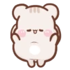 Tupai imut GIFs 5