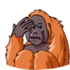 ORANG UTAN telegram GIF🐒 7