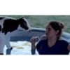 VACA Shitpost  17