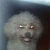 🔥 TIKTOK RAMDON 1.4📱 24