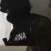 Militar México SEDENA 5
