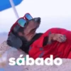 🍻¡SÁBADO!🍻 15