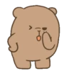 Coco Bear 5