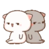 Sadsuks 19