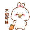 Kelinci gemoy 10