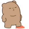 Coco Bear 11