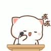 Dudu bubu 28