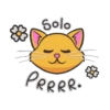 Emojis gatito 😽🙀 8