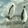 GIFs Raiva 2 😡 7