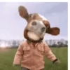 VACA Shitpost  19