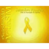 Setembro AMARELO 💛 13