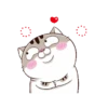 Gatitos divertidos😂 11
