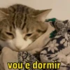 vou e dormir