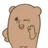Coco Bear 13