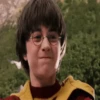 Harry Potter 19