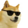 Sukritisdoggo 13