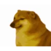 Sukritisdoggo 25