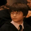 Harry Potter 8