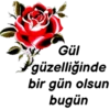 Günaydın🌹Ateş🌹 6