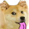 Sukritisdoggo 5