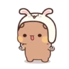 Dudu bubu 6
