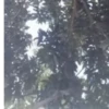Memes estranhos 5
