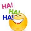 Emojis  13