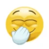 Emoticon 13