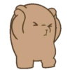 Coco Bear 6
