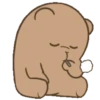 Coco Bear 10