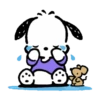 Pochacco 13