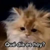Animalitos graciosos 7✨🐱🐶🙊 8