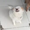 🎵 TIKTOKeando 24🎵 8