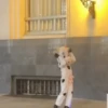 🔥 TIKTOK RAMDON 1.4📱 9