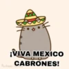 🌵¡VIVA MEXICO!🇲🇽  25