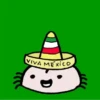 🌮¡VIVA🇲🇽MÉXICO!🌮 15
