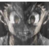 Enojado 11
